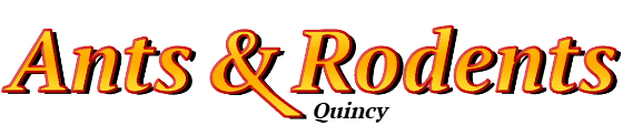 Quincy Ant Exterminator & Rodent Control Company Logo